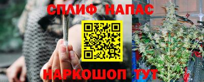 соль ск Будённовск
