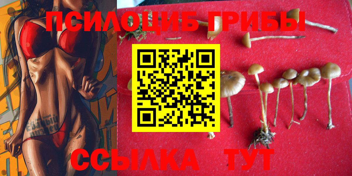 Псилоцибиновые грибы мицелий Лесозаводск